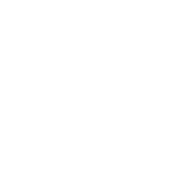amazon-brands
