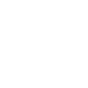 blogger-brands