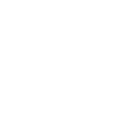 facebook-brands