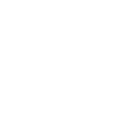 wordpress-simple-brands